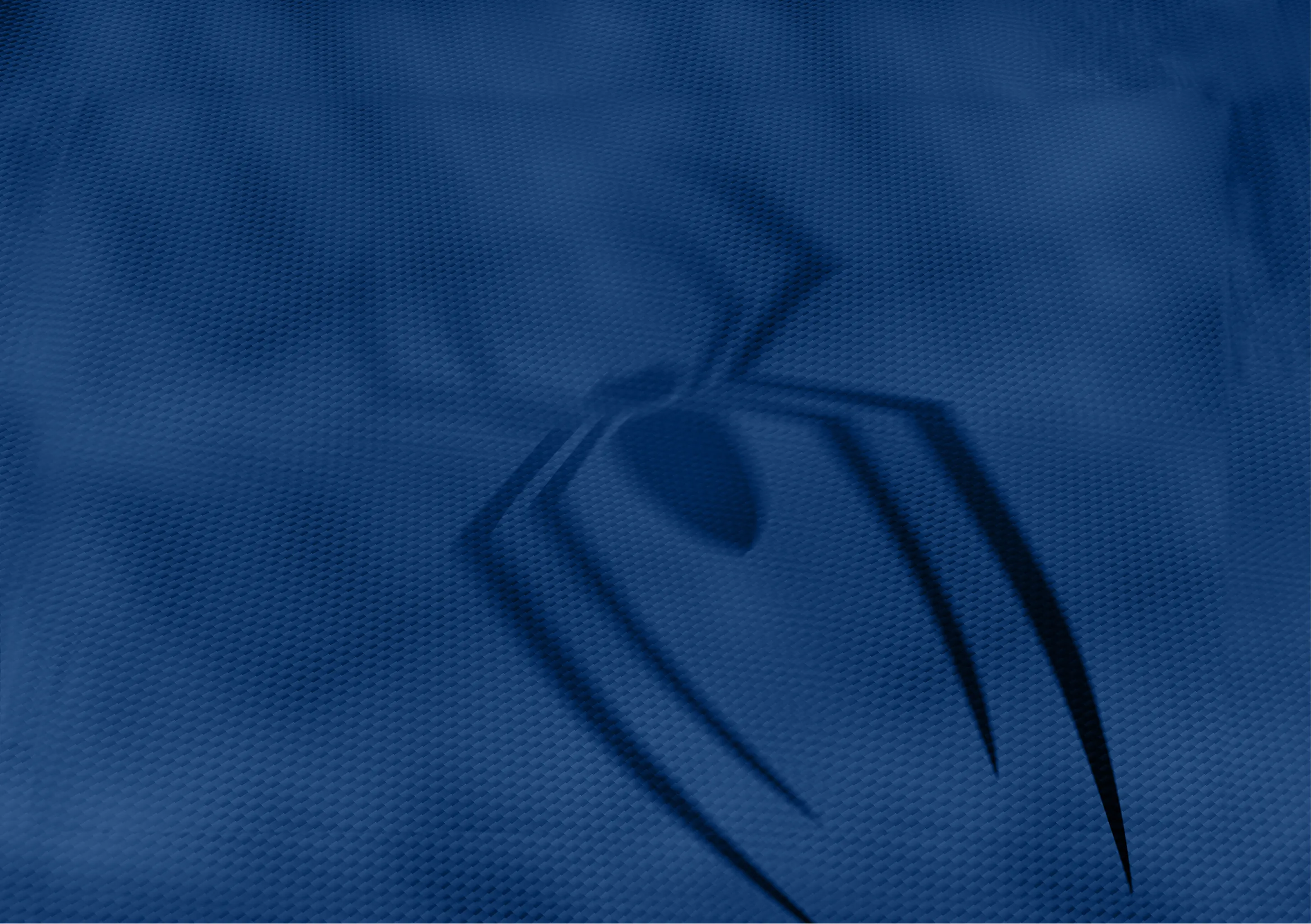Spider-Man fabric texture