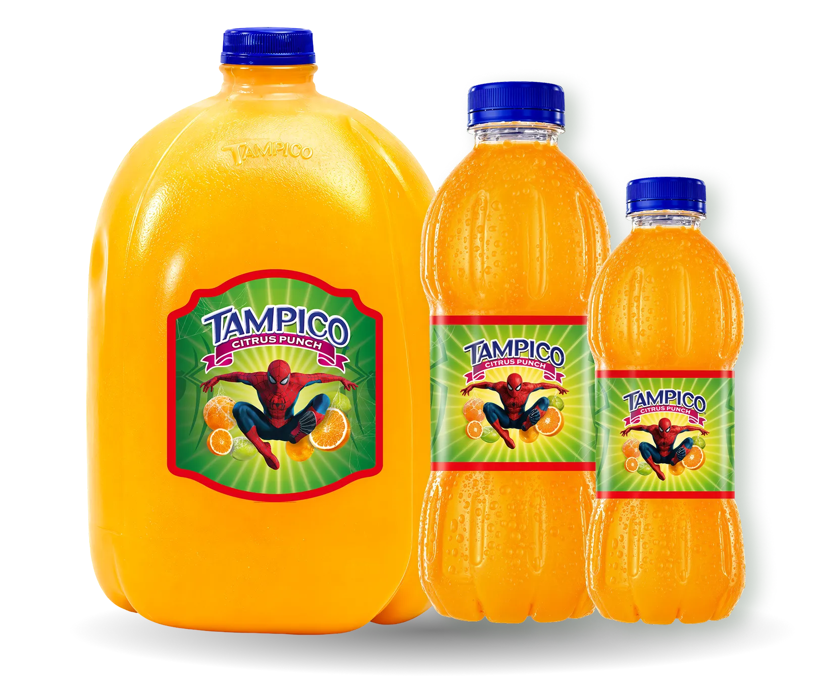 Presentaciones Tampico